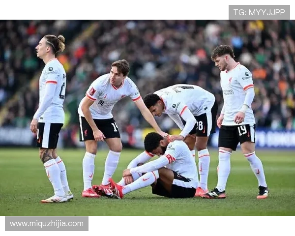 利物浦街头篮球联赛（利物浦 the beatles）sports