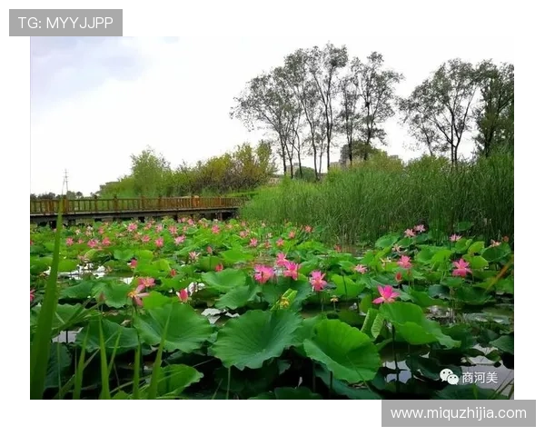 商河体育联赛直播视频回放（商河体育场在哪）sports